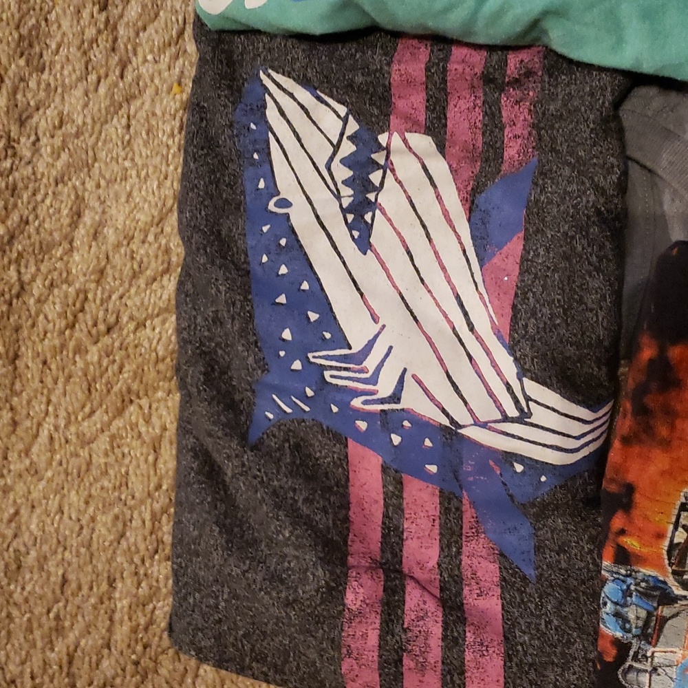 Lot of 10 boys size 4/5 shirts. - Picture 2 of 10